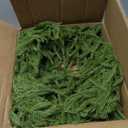 XmasExp Norfolk Pine Garland 9FT Real Touch Realistic Artificial Christmas Garland Decorations for Mantle Windows Indoor Outdoor