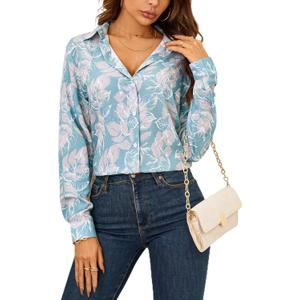 Womens Long Sleeve Button Down Shirts Dressy Casual Tops Work Blouses (Blue, XXL)