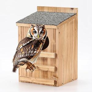 Screech Owl House With Bird Stand - Large Cedar Premium and Weatherproof Design - Prebuilt Box for Outside With Mounting Screws, Easy Assembly