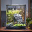 Vimvins 5 Gallon Glass Fish Tank, Easy to Maintain Small Aquarium for Betta/Snails/Shrimp and Aquatic Planting.