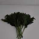 YXZZWL 8 Pcs Christmas Norfolk Pine Branches, 36 Inch Real Touch Artificial Norfolk Pine Branch Faux Cedar Pine Stem Fake Greenery Pine Picks for Vase DIY Garland Wreath Home Garden Decoration