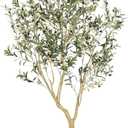 LYERSE Olive Tree 6ft - Olive Trees Artificial Indoor with Large Olive Branches and Lifelike Fruits - Faux Olive Tree for Modern Home Office House Living Room Decor
