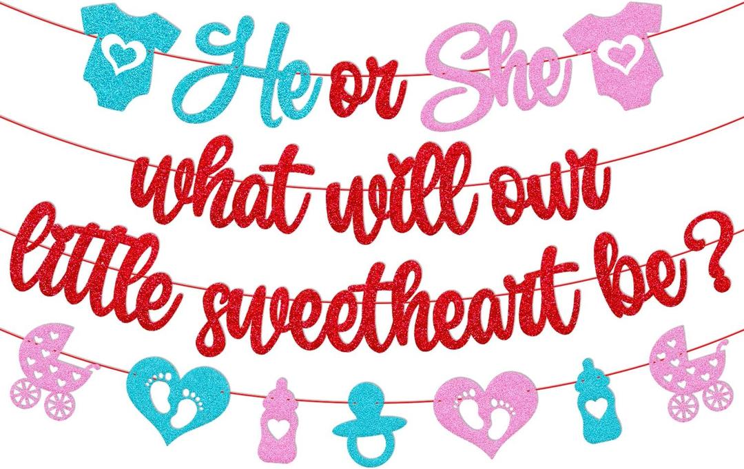 He or She What Will Our Little Sweetheart Be Banner Happy Valentines Day Gender Reveal Boy or Girl He or She Heart Love Romantic celebration Decorations Baby Shower Party Supplies