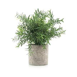 Velener Artificial Potted Rosemary Plants- Rustic Farmhouse Topiary Shrubs for Decoration Centerpieces Living Room, Shelf Bedroom Aesthetic Green Bathroom Accessories Boho Small Desk Plant Office, Green