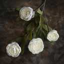 6 Pcs 27" Artificial Silk Peony Flower Branches for Vase Home Decor(Cream) | Fake Lifelike Peonies Stems, Faux Flower Picks, for Floral Arrangement/Table Centerpieces/DIY/Home/Farmhouse/Indoor Decor