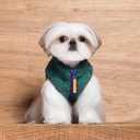 Small Dog Plush Fleece Coat, Soft Warm Cozy Winter Sweater Jacket Vest Clothes for Puppy Chihuahua Poodle Yorkie Pomeranian (Beige, 2XL)