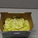 KISLOHUM Artificial Hydrangea Flower Heads Hydrangea Silk Flowers Head for Wedding Centerpieces Bouquets DIY Floral Decor Home Decoration,Pack of 10 with Long Stems - Pale Green