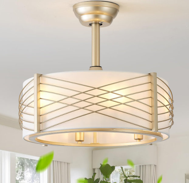 20" Fandelier Ceiling Fans with Lights, Caged Boho Ceiling Fan with Light Remote Control, Mid Century Modern with 6 Speeds for Bedroom, Nursery, Living Room