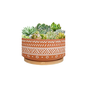 Thirtypot 8 Inch Large Round Terracotta Succulent Planter Pot with Drainage Hole and Saucer, Shallow Bonsai Pot for Indoor
