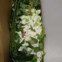 8PCS White Artificial Delphinium Flowers with Clematis Greenery Long Stem Flowers 29.5" Larkspur Artificial Flowers for Wedding Centerpieces Silk Flowers for Home Decor Indoor (White)