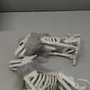 yosager 2 Pack Halloween Skeleton Wolf Decorations, Pose-N-Stay Sitting Hyena Skeleton with Grey Mane, Mini Plastic Wolves Bones Full Body Realistic, Scary Prop Haunted House Graveyard Decor