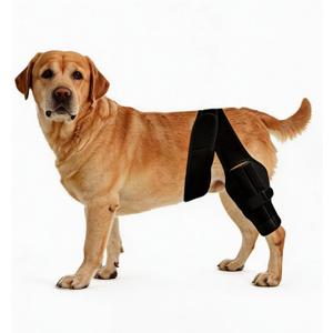Dog Knee Brace for Leg, Adjustable Dog Braces for Torn ACL Support, Built in Side Stabilizers, Breathable Dogs Hip Brace for Arthritis Relief, Joint Stability and Post Surgery Recovery (M)
