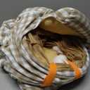 BWOGUE Bunny Tunnel Bed, 2-in-1 Collapsible Tunnel Tubes Toys with Removable Mat Hideout for Cats Kittens Rabbits Guinea Pigs Kitty (YellowPlaid)