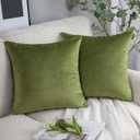 Phantoscope Pack of 2 Velvet Decorative Throw Pillow Covers Soft Solid Square Cushion Case for Couch Beige 22x22 inches