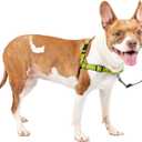 PetSafe Easy Walk Deluxe Dog Harness, No Pull Dog Harness  Perfect for Leash & Harness Training  Stops Pets from Pulling and Choking on Walks  Medium, Apple (Medium (Pack of 1))