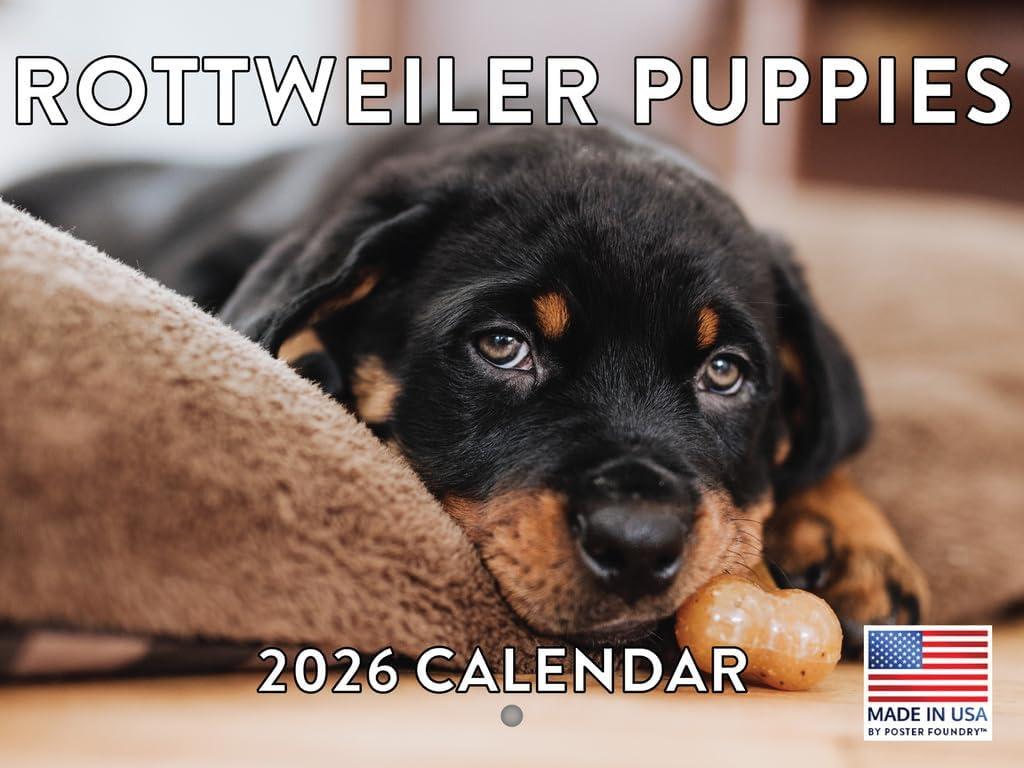 Rottweiler Puppy Calendar 2026 Wall 12 Month Monthly Rottie Puppies Rottweilers Gifts For Rottweiler Lovers Women Men Mom Dad | American Made In The USA