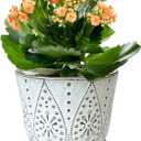 Gepege 6 Inch Beaded Ceramic Planter Set of 2 with Drainage Hole and Saucer for Plants, Indoor-Outdoor Large Round Succulent Orchid Flower Pot (Smoked Gray, Inner-pots not Larger Than 5 Inch)