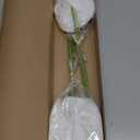 Ling's moment White Anthurium Flowers, 8pcs Artificial Silk Filler Plants, Faux Greenery Stems for DIY Wedding Bouquets Centerpieces Arrangements Bridal Shower Party Home Decorations