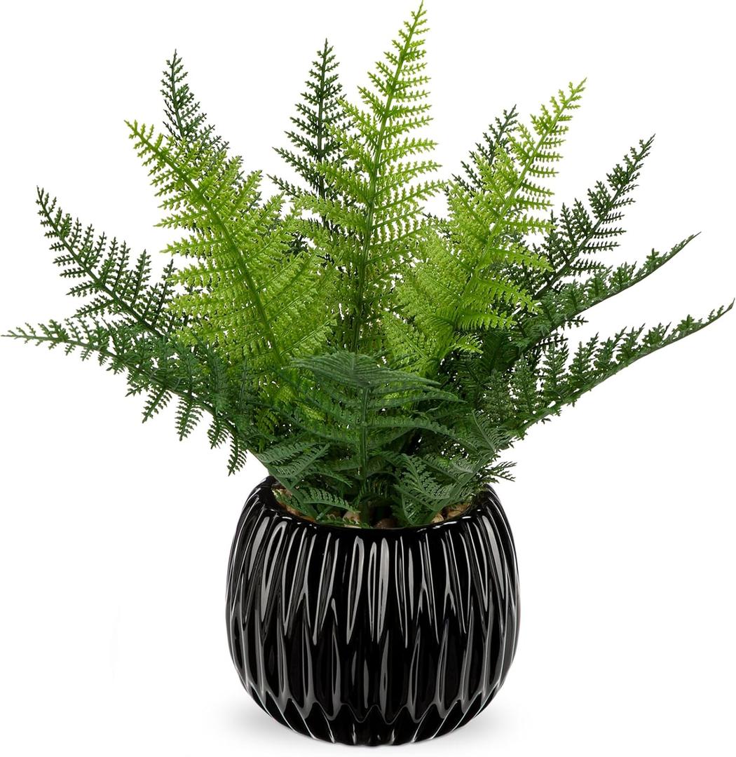 DILATATA Faux Plant Indoor in Ceramic Pot 11" Artificial Potted Fern Fake House Plants for Desk Office Bathroom Garden Decoration - Black