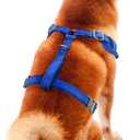Littlearth NHL Unisex-Adult NHL Velvet Pet Harness M
