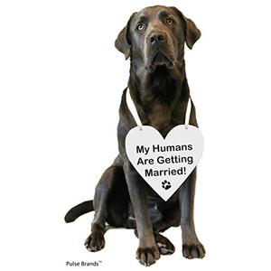 Pulse Brands Engagement Photo Prop Sign - My Humans are Getting Married - Engagement Gifts - Bride to Be - Engaged - Engagement Gifts for Couples (White) Pack of 3