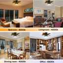 Ceiling Fans with Lights, 24 inch Remote Control Ceiling Fan, Flush Mount Low Profile Ceiling Fan Light, Large Airflow 5 Blades 6 Wind Speed Quiet Reversible 3 Color Temperatures Black