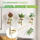 DELLAN Wall Plant Holder, 3 Pack Metal Wall Planters Stand Floating Shelves for Indoor Plants, Window Sill Plant Decor for Bedroom, Bathroom, Living Room, Home, Office, All Gold