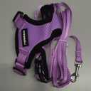 rabbitgoo Cat Harness and Leash for Walking, Escape Proof Soft Adjustable Vest Harnesses for Cats, Easy Control Breathable Reflective Strips Jacket, Light Purple, XS