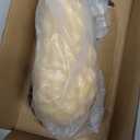 Ultrassist 1 lb Human Body Fat Model, Fat Replica, Anatomical Model for Students, Authentic Demonstration for Fitness Room