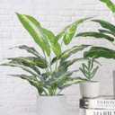Der Rose JC nateva 16" Small Fake Plants Artificial Tropical Faux Plants Indoor for Office Desk Shelf Bathroom Home Decor