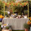 Over The Table Rod Stand with Clamps Adjustable 31"-110'' Length 31"-64" Height Gold Table Balloon Arch Stand with Storage Bag, Metal Decorating Rod Hanging