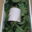 Waipfaru Fake Plants Artificial Plants Indoor, 1Pcs 34" Realistic Artificial Hanging Fake Pothos Vines Ivy Potted, Faux Pothos for Living Room Office Bedroom Bathroom Kitchen Shelves Indoor Home Decor