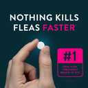 Capstar Oral Flea Tablets Cats 2-25 lbs, Nitenpyram, 12-Dose