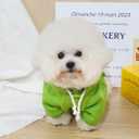 QWINEE Alien Dog Hoodie Dog Warm Jacket Coat Puppy Sweatshirt Christmas Halloween Dog Costume Cosplay Winter Dog Clothes Pet Apparel for Small Medium Dogs Cats Kitten Solid Green S