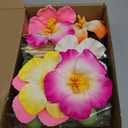 25 PCS Flower Cake Topper Hawaiian Cake Decorations with Palm Leaves Hibiscus Flowers Balls for Hawaii Aloha Jungle Summer Theme Wedding Birthday (Multicolour)