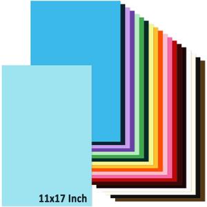 11x17 Large Cardstock A3 Color Paper Colored Card Stock 60 Sheets Multi-Color Poster Sheets 20 Colors 80lb Thick Printer Paper Display Board for Art and Crafts, Exhibits