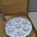 Newtay 24 Pcs Passover Seder Plate Plastic 10" Disposable Plates Passover Decorations for Kids Adults Communal Seders Foods Pesach Kitchen Accessories Table Decorations(Floral Design)
