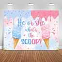 Ice Cream Gender Reveal Backdrop 7x5ft He or She What's The Scoop Summer Gender Reveal Party Decorations Background Boy or Girl Banner Photo Booth Props