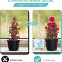 5LB Water Storing Crystals for Plants with Spoon, Water Gel Solves Plant Over-Watering and Drought Problems, Keeps The Soil Moist, Small Water Storing Polymer Crystals for Plants Candle - by Oycevila