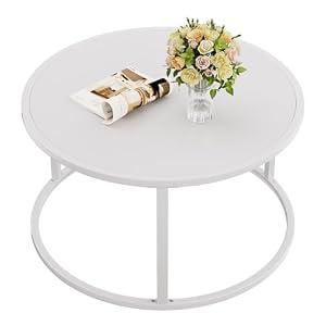 SAYGOER Small Round Coffee Table, White Coffee Tables for Living Room, Modern Center Table for Small Space Home Office Gardern, 27.6 × 27.6 × 17.7inch, White