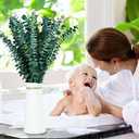 30Pcs Dried Eucalyptus Stems Shower Bundle, 17" Real Natural Eucalyptus for Shower, Fresh Leaves Branches for Vase Filler, Wedding, Farmhouse Decor, DIY Spring Decor, Home Decor