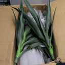 Roselywed Artificial Agave Plant 7FT with 60 Leaves & 4 Trunks & Elegant Black Pot Realistic Tall Large Fake Faux Modern Tree 82 Inch for Indoor Home Office Porch Mall School Decor Housewarming Gift