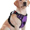 rabbitgoo Dog Harness for Large Dogs, No Pull Pet Harness with Soft Padded Handle, Adjustable Reflective Vest with 3 Buckles, Easy Walking Harness with 2 Leash Clips, Purple, M
