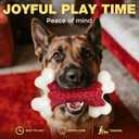 Tough Dog Toys, Toys for Aggressive Chewers Large Breed, Chew Dogs, Bone Toy Nylon Dogs Almost Indestructible (1 Count, Red)