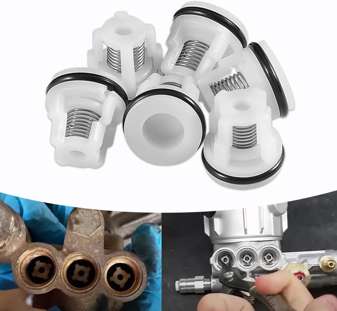 Check Valve Kit/ AR2233 Replacement Pressure Washer Valve Kit for AR Annovi Reverberi RMW&Rmv Series Pumps, Replace for Mi-T-M 70-0409, for Briggs & Stratton 200344GS, EZ Start, 6 Pack