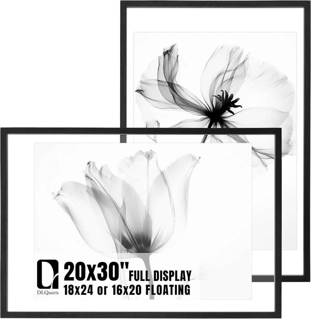 DLQuarts 20x30 Floating Picture Frame for 18x24/16x20/13x19/12x18 Photos, 2-Pack Solid Wood Double Plexiglass Wall Art Frames, Any Size Photo up to 20x30 Display, Matte Black