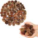 60 Pcs Natural Pine Cones for Crafts, 3 Kinds of Pine Cones. Christmas Pine Cones Ornaments- Fall Small Pinecones Vase Fillers for DIY Crafts, Home Decorations, Fall and Christmas, Wedding Decor