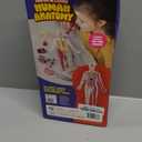 Dan&Darci Human Anatomy Squishy Body Model - Science Kits for Kids Ages 4-8 - STEM Toys for 4 5 6 7 8 Year Old Boy Birthday Gift - Learning Educational Toys for Ages 5-7 Boys Gifts - Skeleton Parts