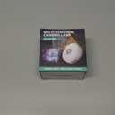 2Pack Camping String Lights, 4-in-1 Quick Storage Camp Light, 8Mode 32.8FT Hanging Tent Lights, Rechargeable Camp Lamp As Camping Essentials Gear, Waterproof LED Lantern for Hiking Travel Patio Party