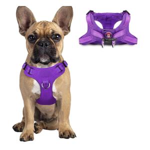 Dog Harness Step in Dog Vest Harness, Reflective Adjustable Puppy No Pull Harness Breathable Soft for Dogs Cats, Purple, Small